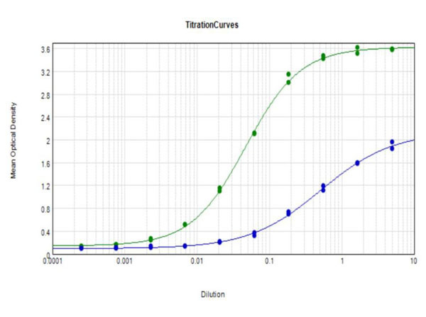 Anti-Beta Amyloid 42