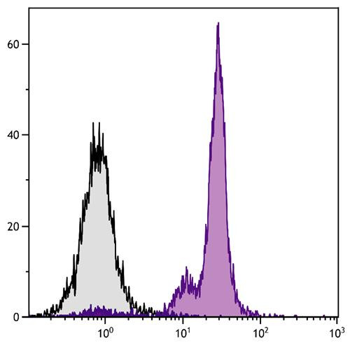 Anti-CD45 (Biotin), clone 104