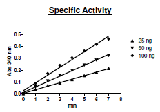 GLS1, active human recombinant protein, His-tag
