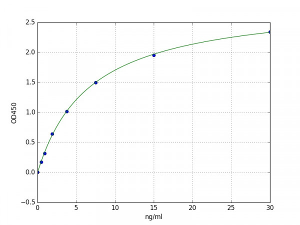 Human LAPTM4B ELISA Kit