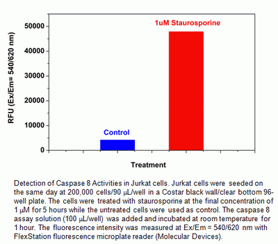 Cell Meter(TM) Caspase 8 Activity Apoptosis Assay Kit (Red Fluorescence)