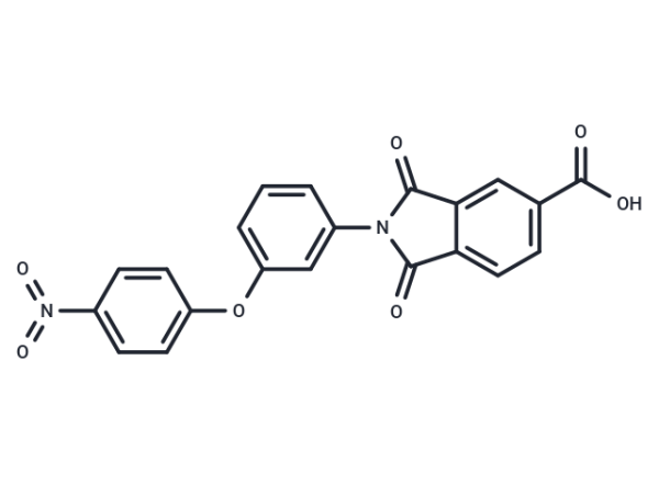H2L 5765834