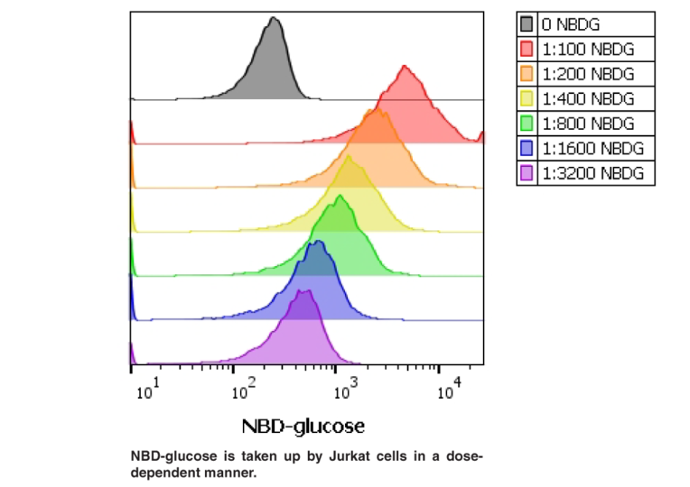 Glucose Uptake CellBased Assay Kit Cayman Chemical