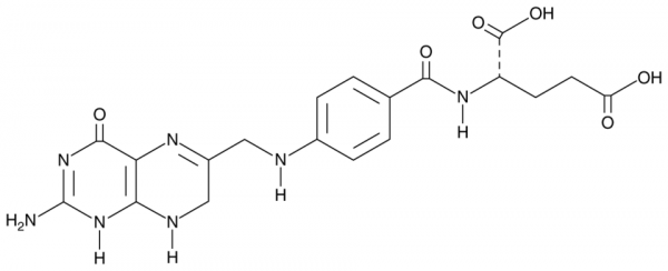 Dihydrofolic Acid