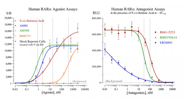 RAR (human) Reporter Assays Panel