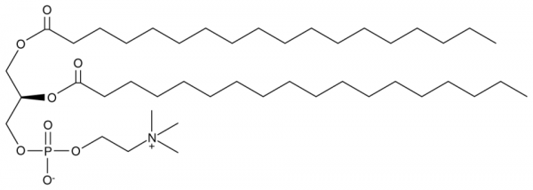 1,2-Distearoyl-sn-glycero-3-PC