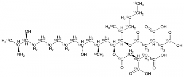 Fumonisin B3-13C34