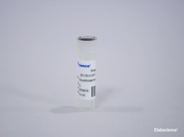 Recombinant Human Interleukin-2 (IL-2) Solution