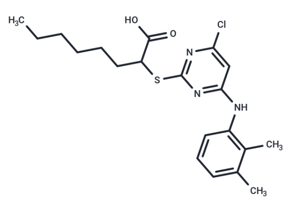YS-121