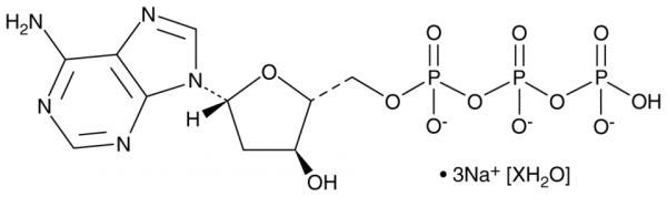 2&#039;-Deoxyadenosine-5&#039;-O-triphosphate (sodium salt hydrate)