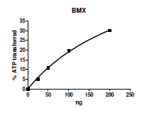 BMX, active human recombinant protein