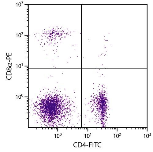 Anti-CD8a (PE), clone EP72