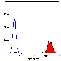 Anti-CD41 (FITC), clone PM6/248