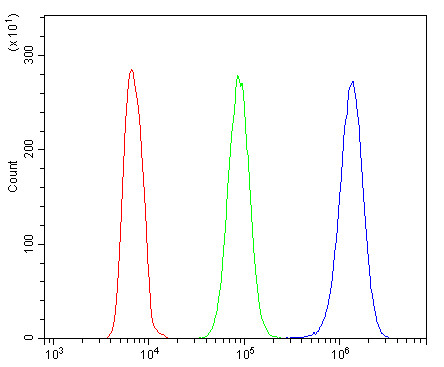 Anti-ATP5G1 + ATP5G2 + ATP5G3