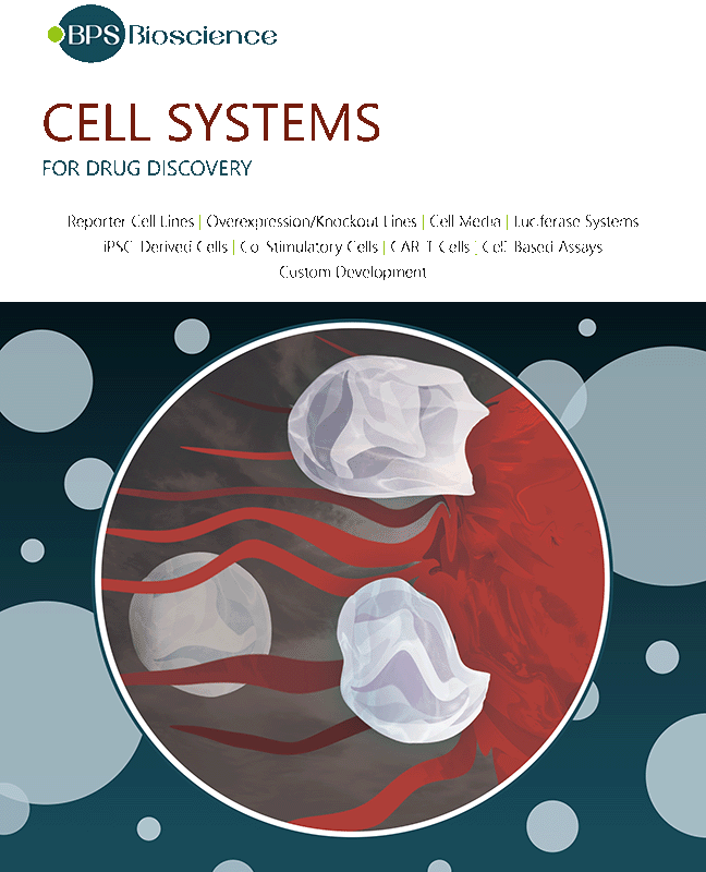 BPS Bioscience Cell Systems
