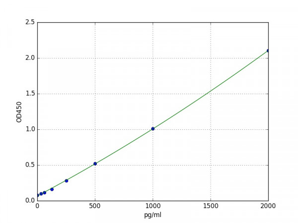 Human Cathepsin V ELISA Kit