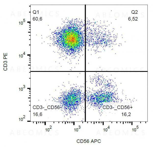 Anti-CD56 / NCAM Monoclonal Antibody (Clone:MEM-188)-APC Conjugated
