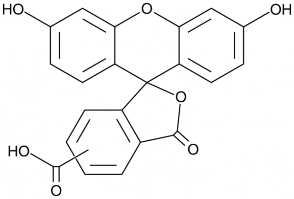 5(6)-Carboxyfluorescein