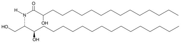 C16((±)-2'-hydroxy) dihydro Ceramide (d18:0/16:0)