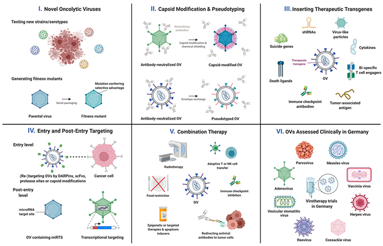 Virotherapie_Fig1_new