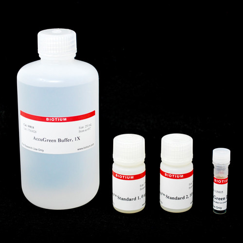 AccuGreen(TM) High Sensitivity dsDNA Quantitation Kit