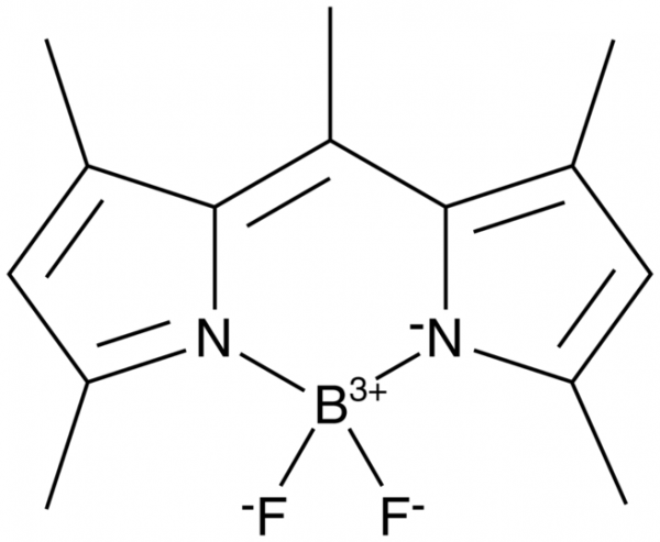 BODIPY 493/503