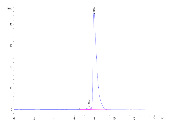 Cynomolgus CD6 Protein