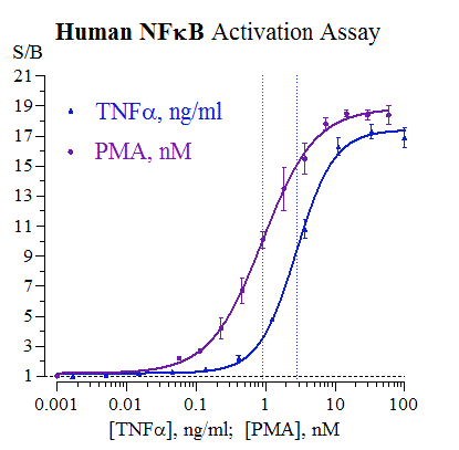 NF-kappaB (Human) Reporter Assay System