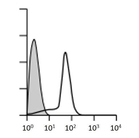 Anti-CD68, clone KP1