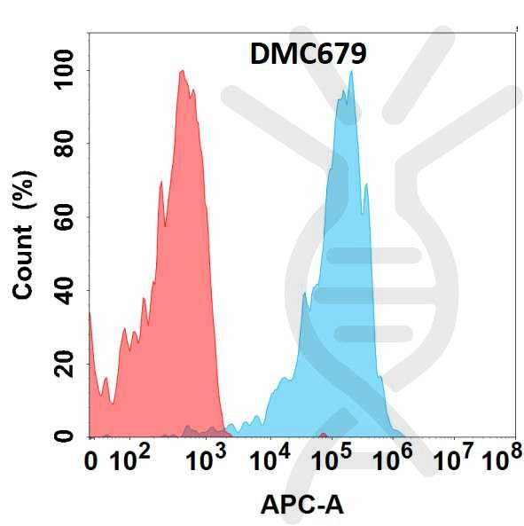 Anti-CXCR5 antibody(DMC679), IgG1 Chimeric mAb