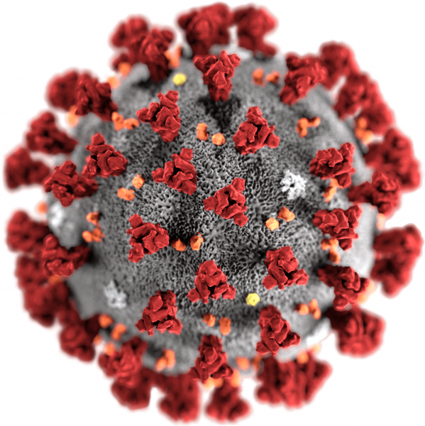 COVID-19-Therapeutics