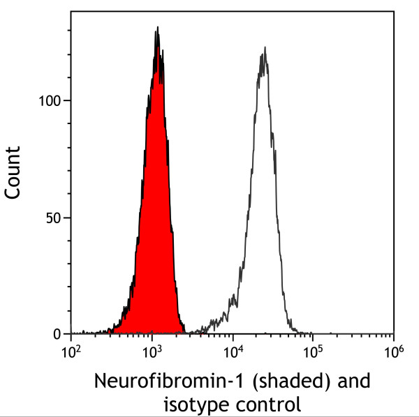 Anti-Neurofibromin 1 Recombinant Monoclonal