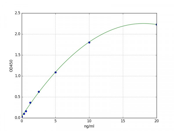 Human HAS2(Hyaluronan synthase 2) ELISA Kit