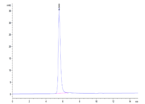 VEGFR2, Avi &amp; His, Human