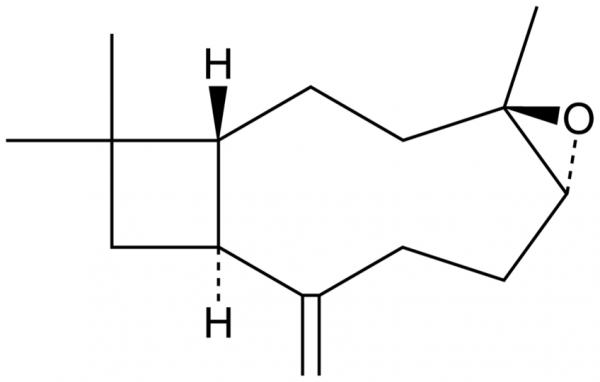 (-)-Caryophyllene oxide