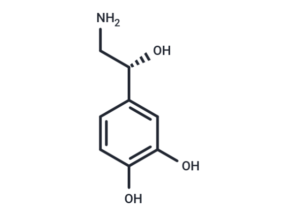 Norepinephrine
