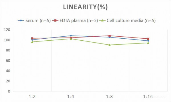 Human FGF21 (Fibroblast Growth Factor 21) CLIA Kit