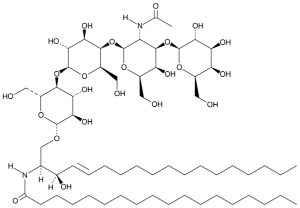 Asialo Ganglioside GM1