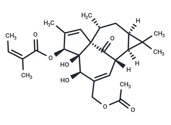 20-O-Acetylingenol-3-angelate
