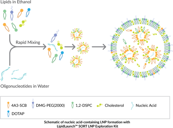 LipidLaunch(TM) SORT LNP Exploration Kit