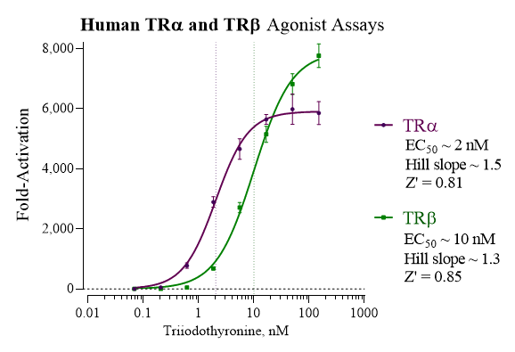 TRbeta (human) Reporter Assay Kit