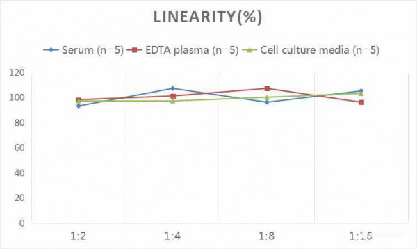 Rat CNTF (Ciliary Neurotrophic Factor) CLIA Kit