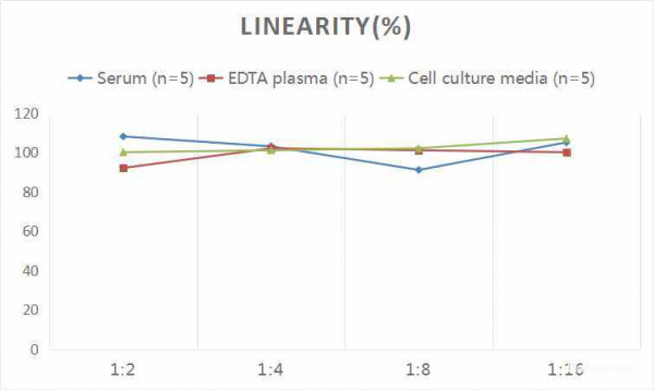 Rat IL-2 (Interleukin 2) CLIA Kit