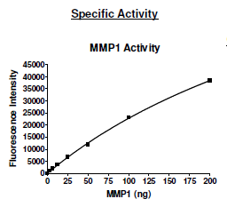 MMP1, C-terminal His-tag, human recombinant protein
