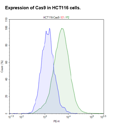 Cas9 Expressing HCT116 cell pool