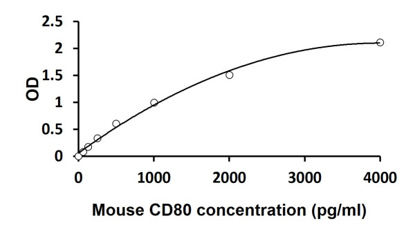 Mouse CD80 ELISA Kit