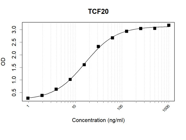 Anti-Human TCF20 Antibody Pair