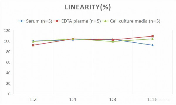 Human NT-proBNP (N-Terminal Pro-Brain Natriuretic Peptide) CLIA Kit