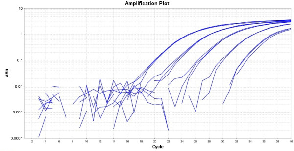 TAQuest(TM) FAST qPCR Master Mix for TaqMan Probes *Low ROX*