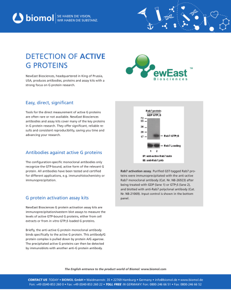 Detection of Active G Proteins